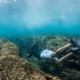 Fiji Activities Snorkel Waidroka