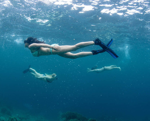 Fiji Snorkeling Waidroka Resort