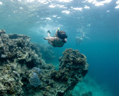 Fiji Activities Snorkeling Waidroka