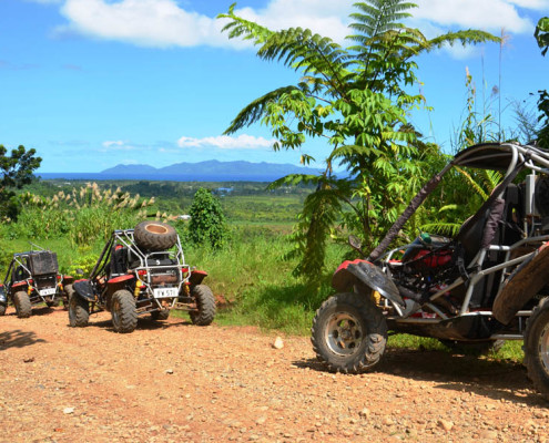 Fiji Terratrek Buggy Fun