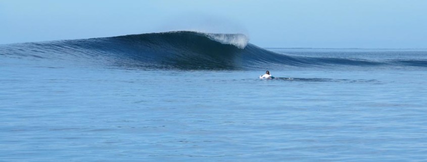 Fiji Surf Resort Shifties Clean and Glassy Peaks