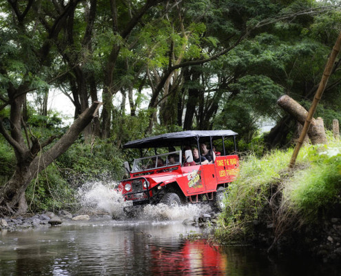 Jeep Fiji Safari