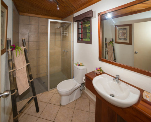 Resort Fiji Superior Bathroom