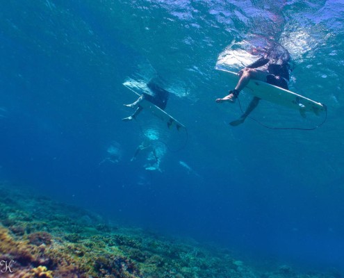 Surf Fiji underwater