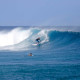 Surfing in Fiji Frigates Fun